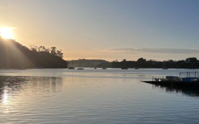 Chelsea’s favourite walks around Auckland